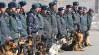 Кинологи на страже правопорядка