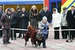 Глава Ленинского района искренне порадовался за успехи юных кинологов