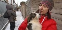 Закрывается частный приют для собак