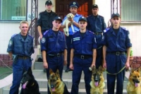 В кинологическом центре готовятся к чемпионату по футболу